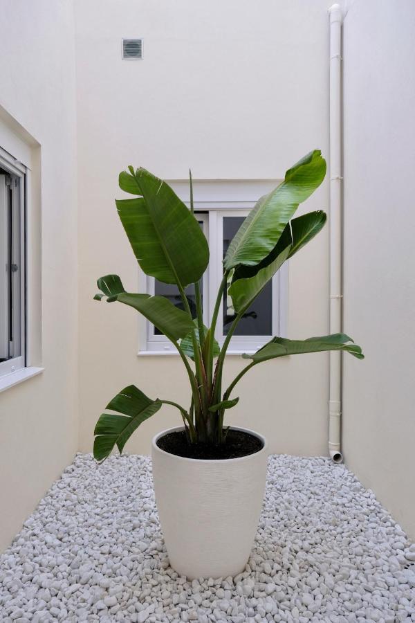 Urban Oasis La Palma Apartment Santa Cruz de la Palma  Bagian luar foto